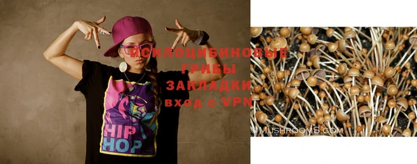соль ск Заволжье